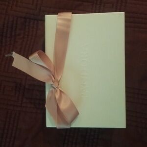 Pandora cleaning kit gift set